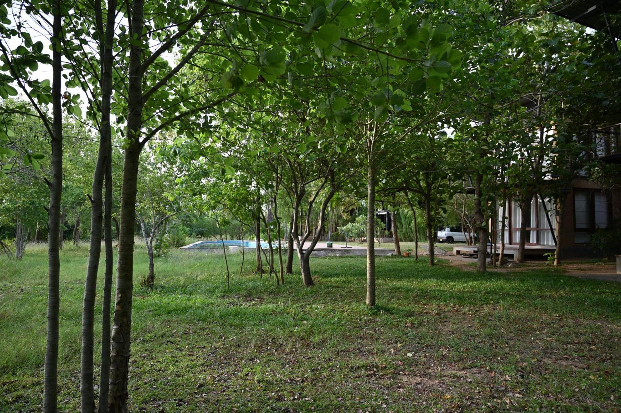 Breezy Lake Tissamaharama Extérieur photo