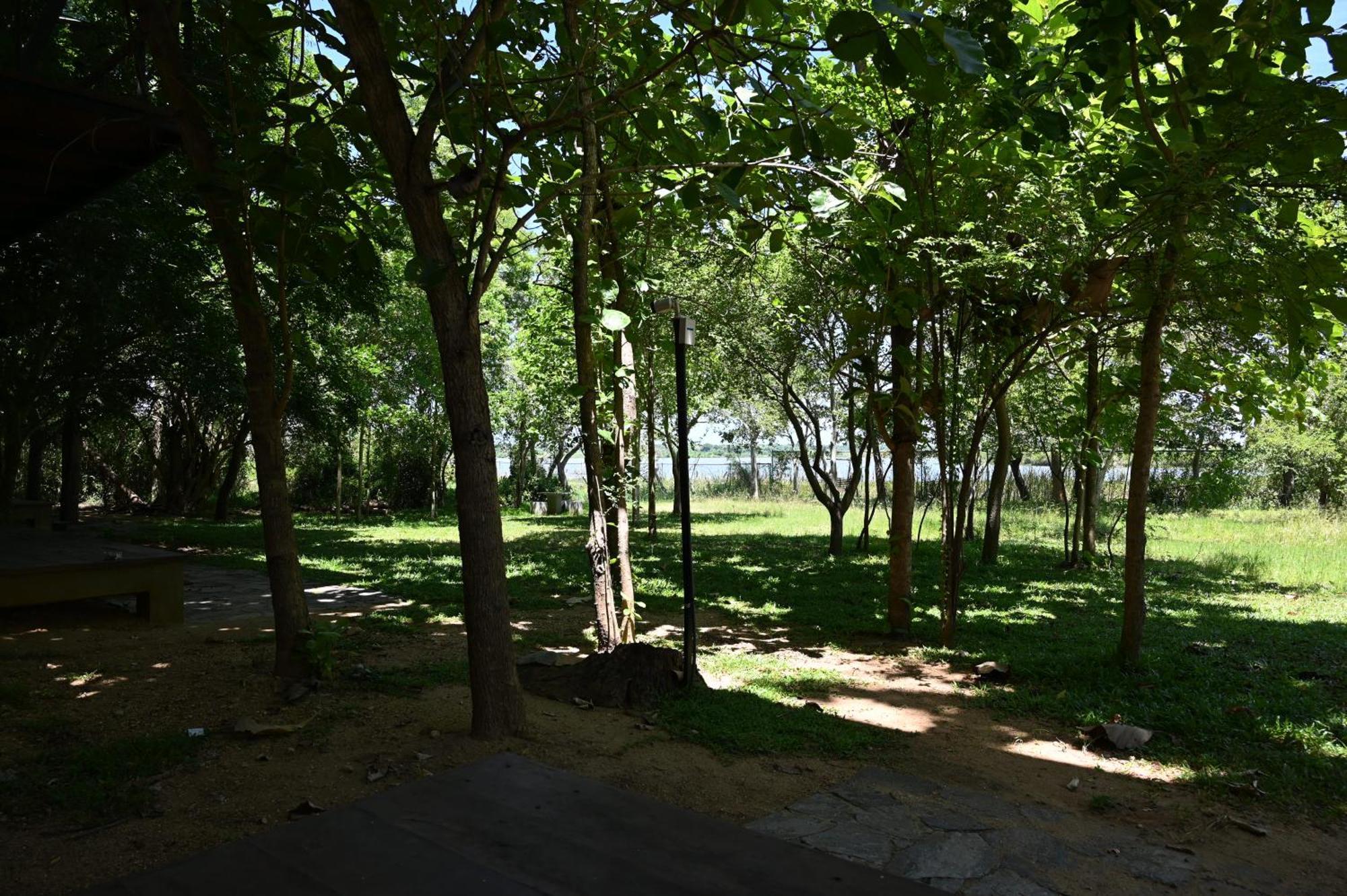 Breezy Lake Tissamaharama Extérieur photo
